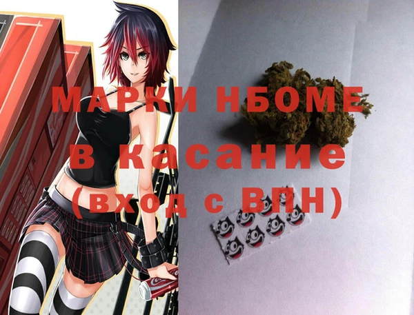 сатива Горняк