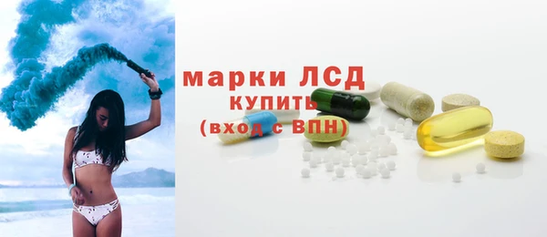 сатива Горняк