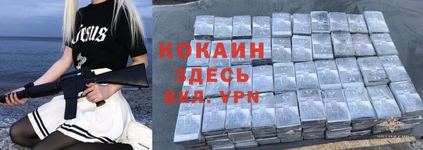 сатива Горняк