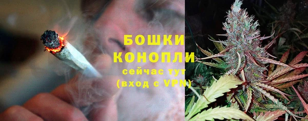 МДПВ Горно-Алтайск